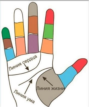 Фотография: Хирологический анализ руки