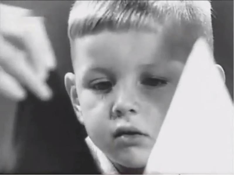 Фотография: Вкус и внушение